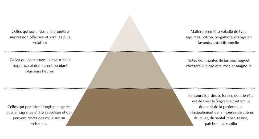 Décryptons l'Art de la Pyramide Olfactive : Comprendre les Parfums en Profondeur