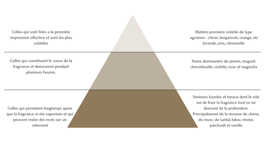 Décryptons l'Art de la Pyramide Olfactive : Comprendre les Parfums en Profondeur